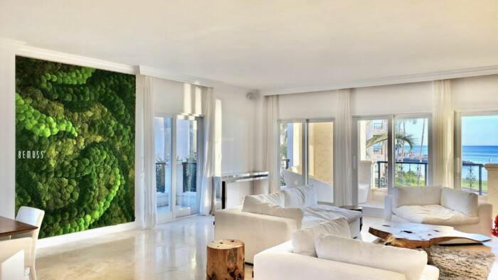 Click to view project – ORTHO – Fisher Island Miami